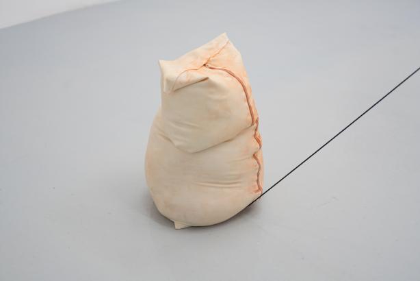 Lestes (une autruche immense joue à tomber), latex, poudre de briques, corde, 2017, exposition collective Ce sont des mirages dans des chemises, galerie art et essai, Rennes.