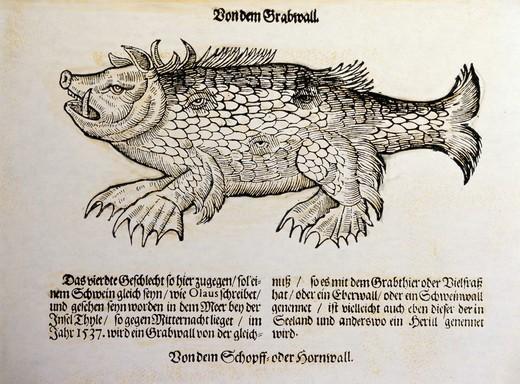 Illustration issue de Historiae Animalium de Conrad Gessner. Image pouvant servir d'inspiration au bestiaire imaginé.