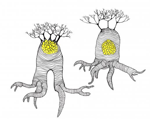 Arbres lumière, croquis de recherche, 2019