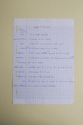 Fiche