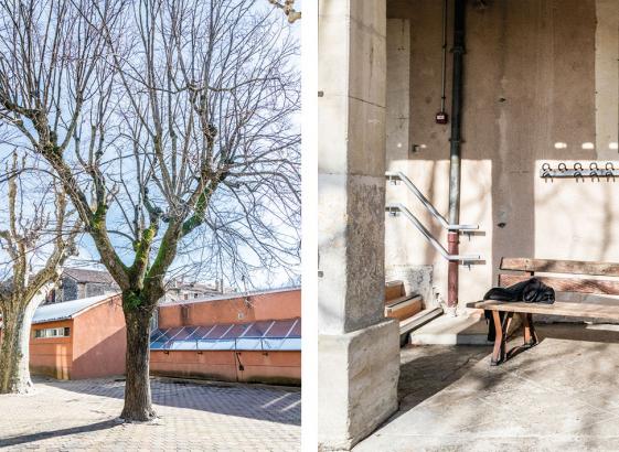 Banc et arbre