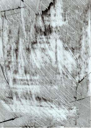 Cette image illustre un des rendus possibles qu'offre la technique du monotype sur verre et qui sera abordée au travers du dispositif de la serre.
