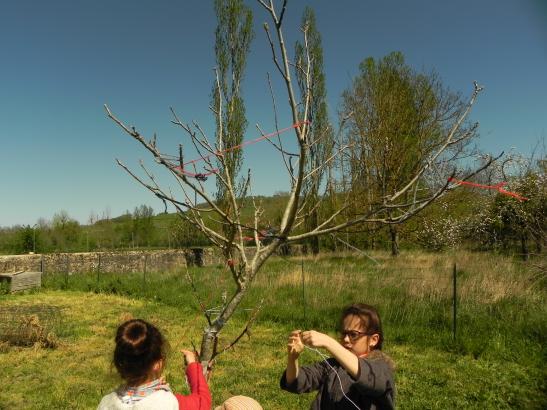 Arbre à fils et à mots de Salomé, son frère et sa sœur 