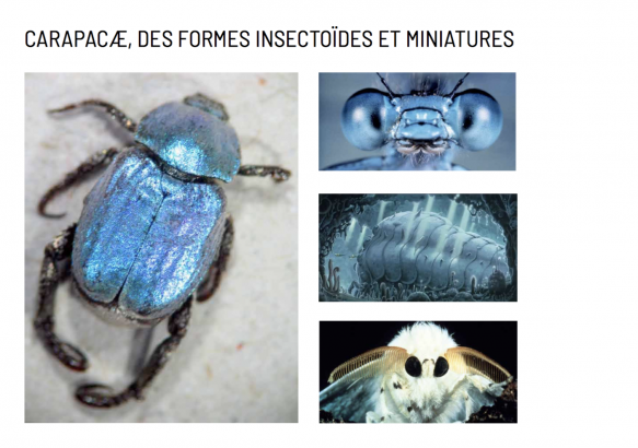 Pistes visuels, des formes insectoÏdes et miniatures 