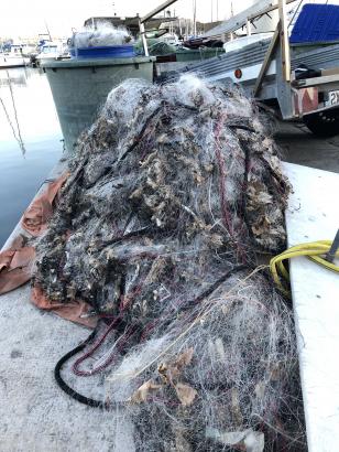 Filets de pêche au port Vauban, Antibes