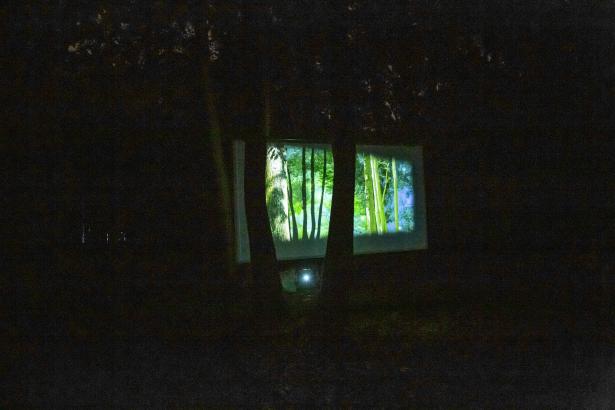 Sous-bois de Vergine Keaton
