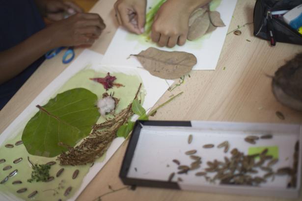 Les cyanotypes des enfants avant insolation