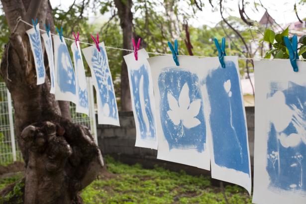 les cyanotypes en train de sécher