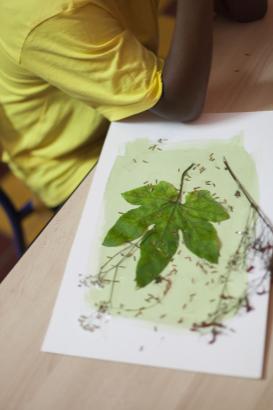 Les cyanotypes des enfants avant insolation