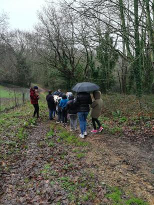 Ballade sonore dans la forêt