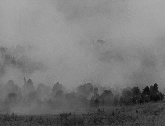 Akira Kurosawa - Le château de l'araignée - La forêt avance