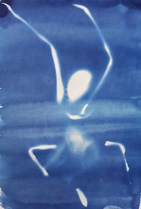 cyanotype 1