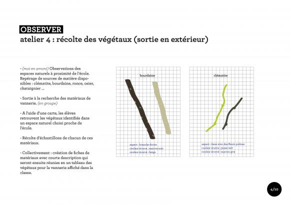 atelier 4 : récolte des végétaux (sortie en extérieur)