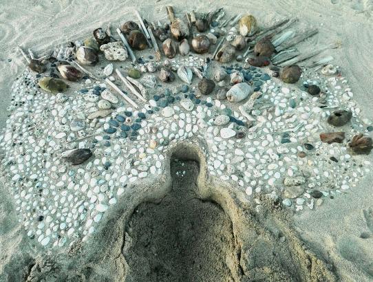 Rituel de résurrection #1, Biño Sauitzvy et Lika Guillemot,récoltes sur la plage de n'gouja, Mayotte, 2021