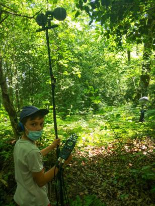 Sven au son dans le bois de la Mousse