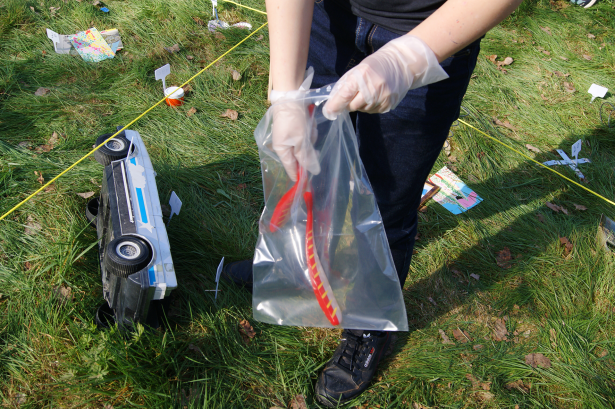 Un poisson en plastique