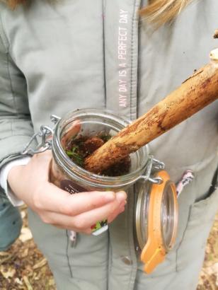 Fabrication des "odeurs" de forêt