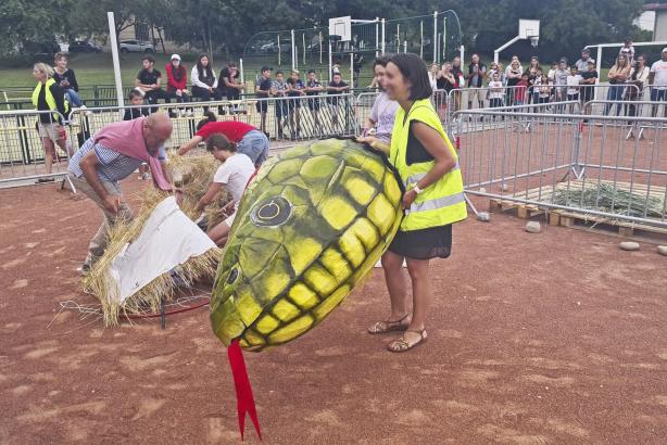 Démontage de la mue