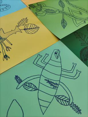 Chimères des milieux humides