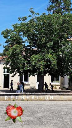 La cour de récréation 