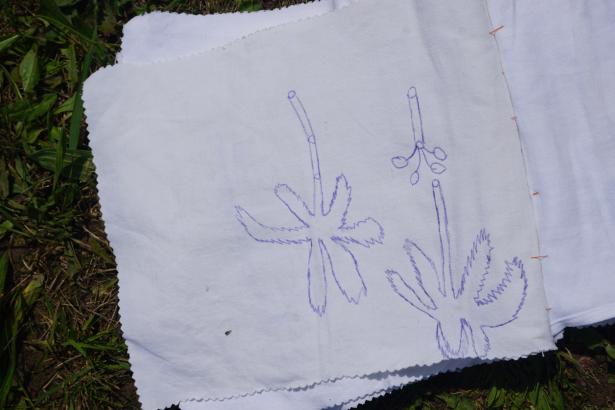 Dessins d'observation des adventices présentes autour de l'école. 