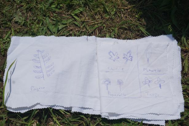 Dessins d'observation des adventices présentes autour de l'école. 