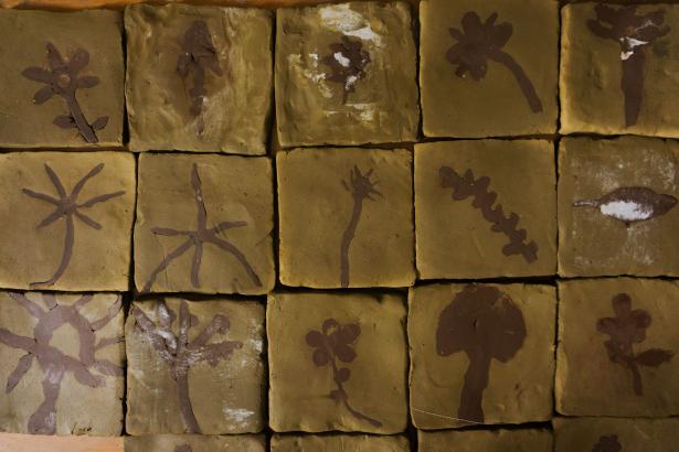 Carreaux d'argiles et illustrations d'adventices. 
