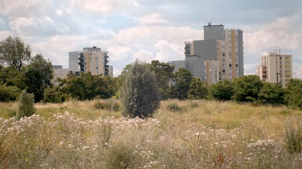 Cinémathèque idéale des banlieues du monde