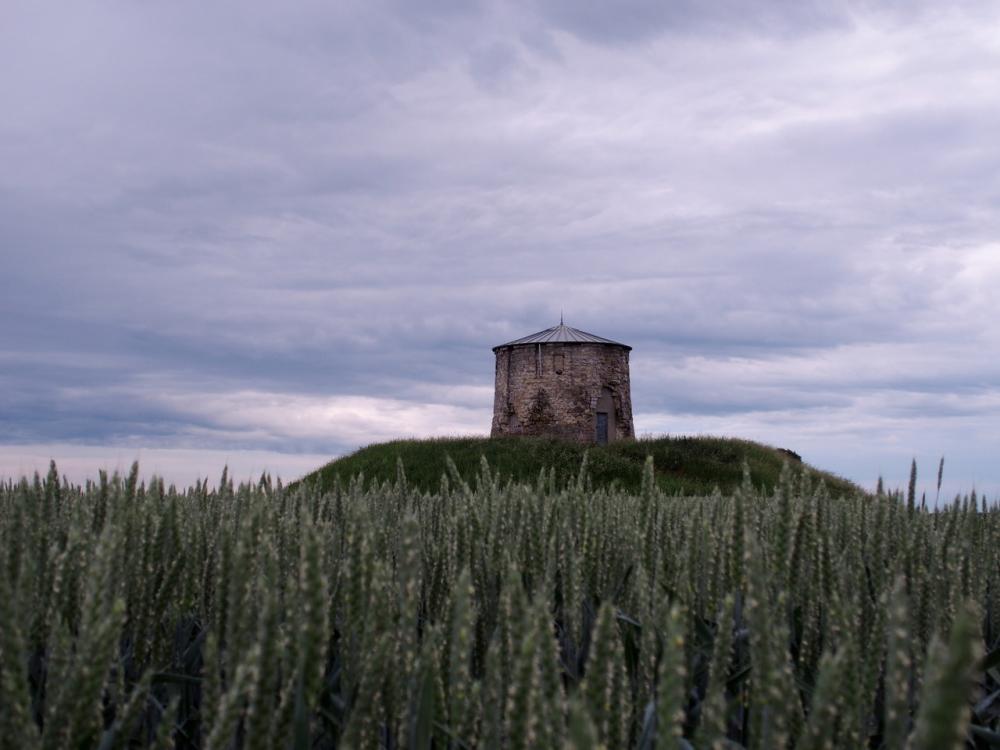 La tour, toujours là, inchangée et pourtant changeante au fil des saisons, est maintenant immergée dans les champs de blé. Photographie de Dimitri Vazemsky