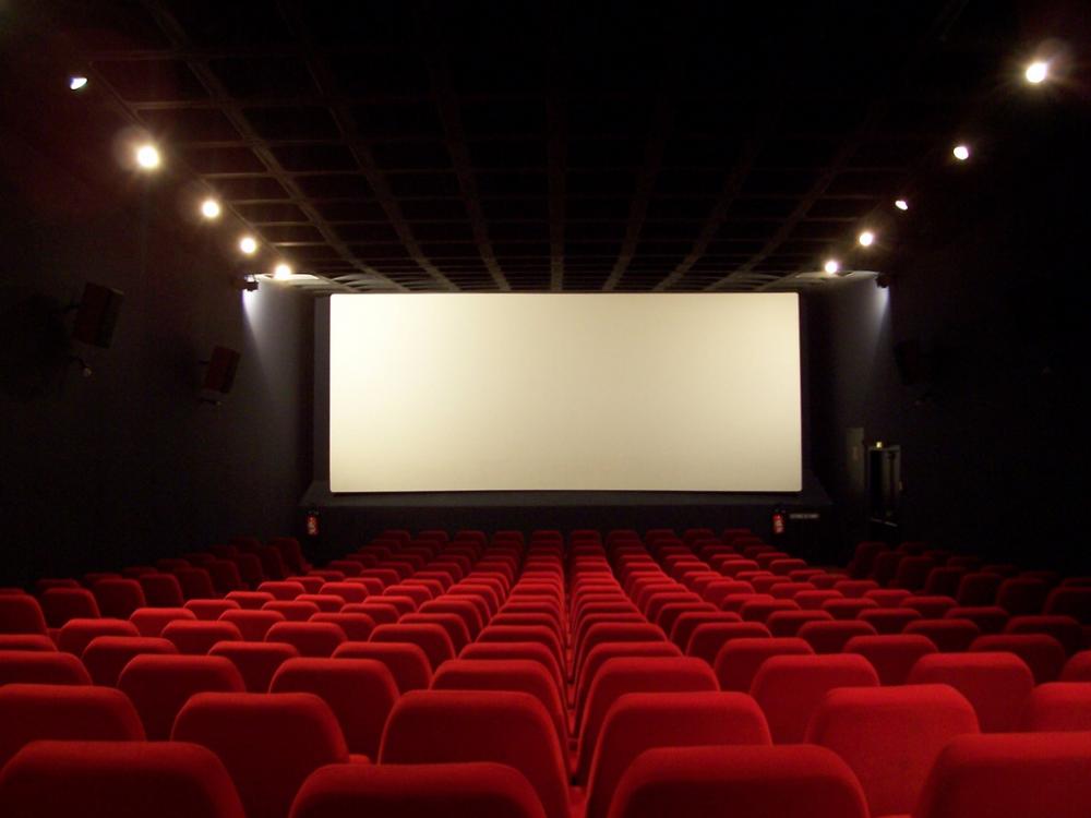 Huitième Article – Projection au cinéma Rivoli à Carpentras