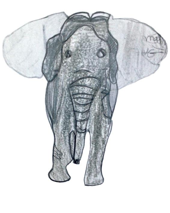 Inventer son éléphant (6)
