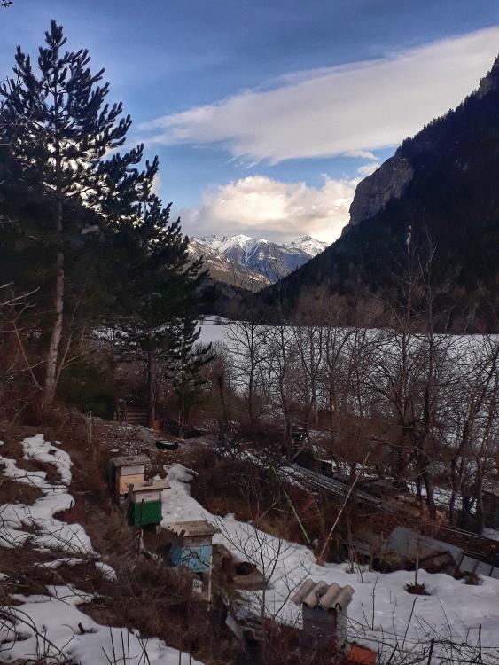 Les ruches ont vue sur l'entrée de la vallée