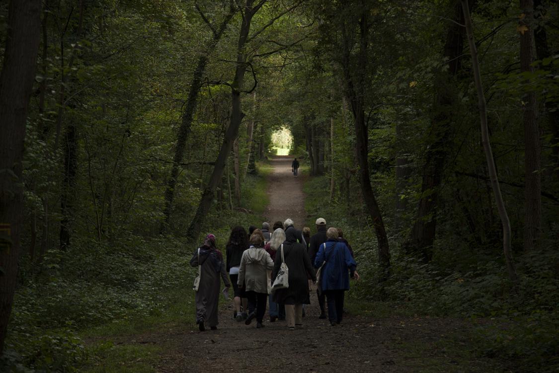 Promenades dans la forêt régionale de Bondy