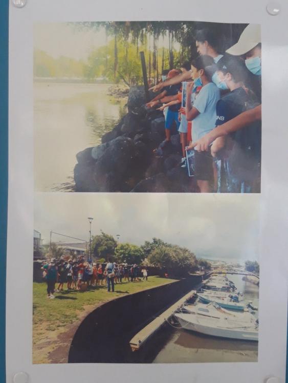 Objet du jour: Photos des élèves avec Laurent Hoarau au berges de la rivière d’abord avec le martin pêcheur puis au port de Saint-Pierre près des kanots.