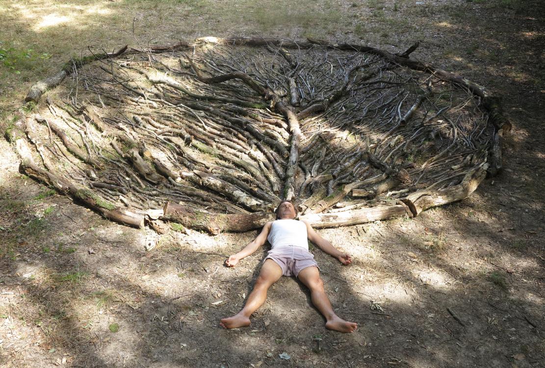 Mandalarbre, forêt de Bondy, dans le cadre de l'été des Ateliers Médicis, 2020