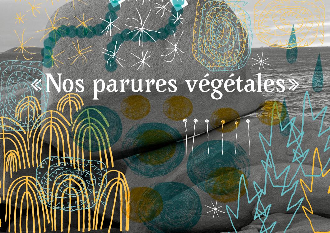 Immersion sur le terrain et déploiement des possibles 