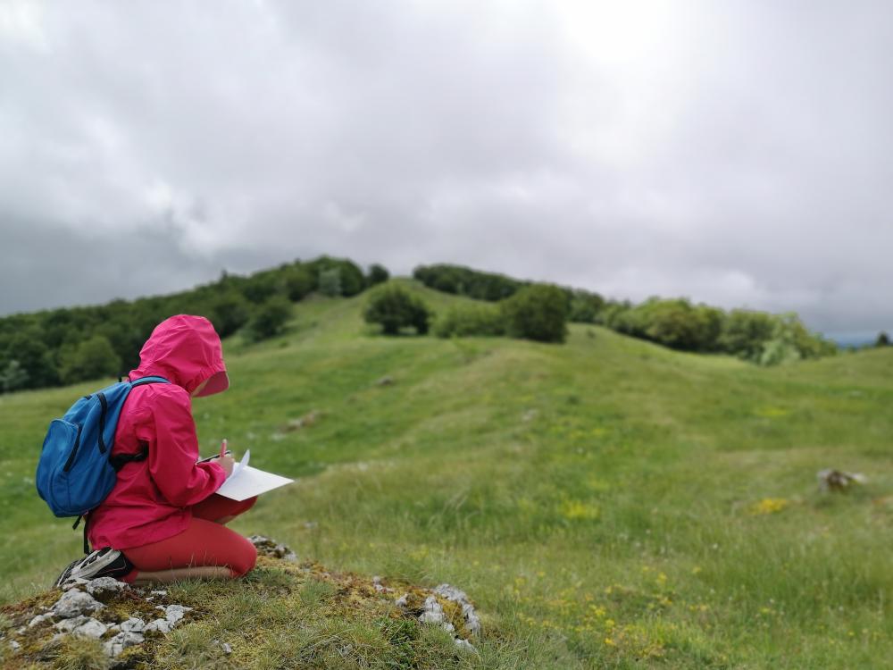 dans la nature voisine