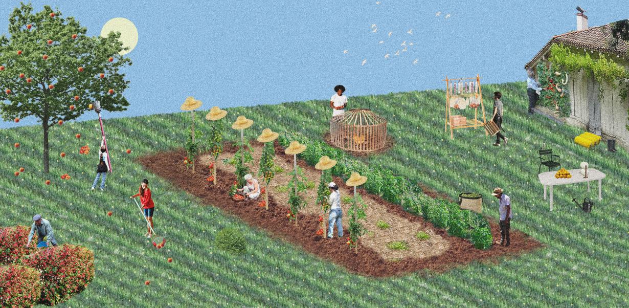 Projection de pratiques de jardinage alimentaire