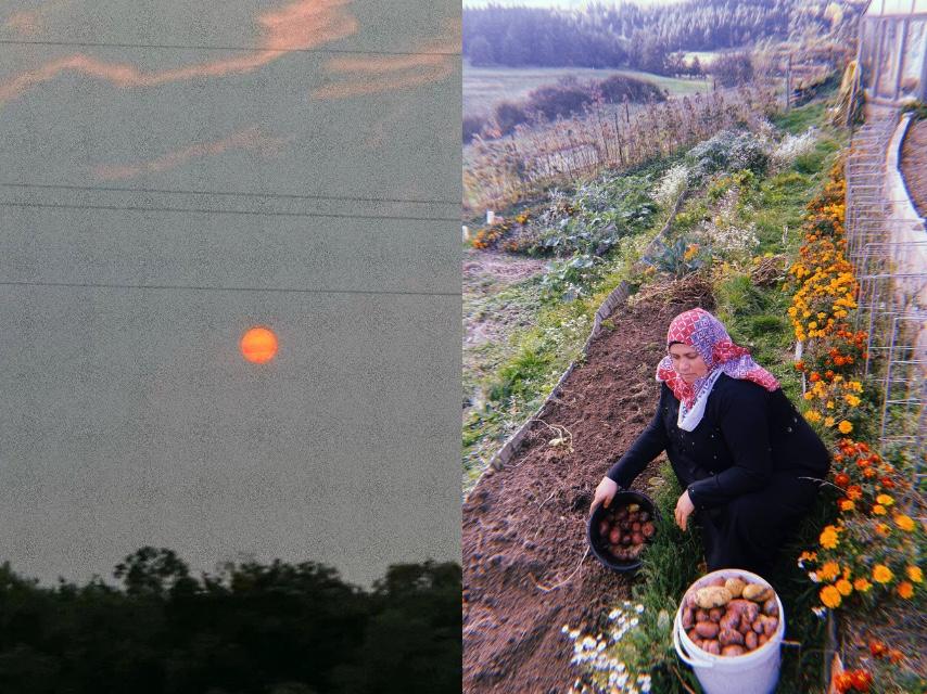 Semer le soleil, cultiver le commun