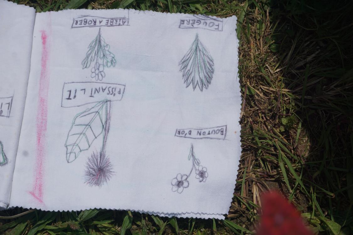 Dessins d'observation des adventices présentes autour de l'école dans le carnet de voyage en textile de seconde main. 