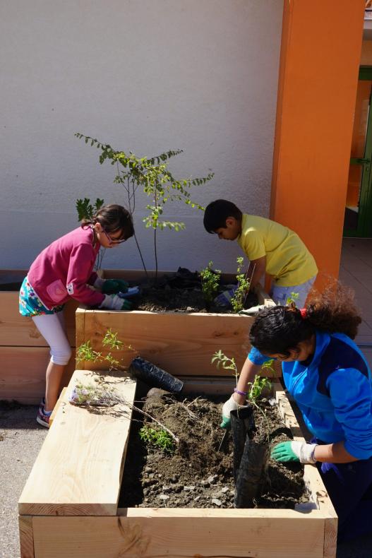 Atelier de plantations