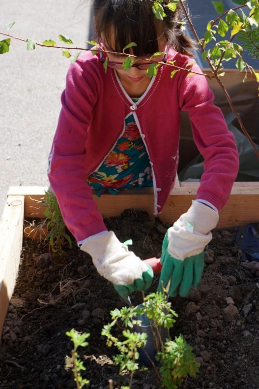 Atelier de plantations