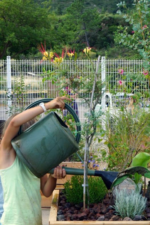 Atelier de plantations