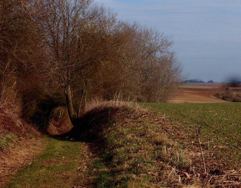 Au détour d'un chemin, à la lisière du village, le panorama des champs s'ouvre à nous.