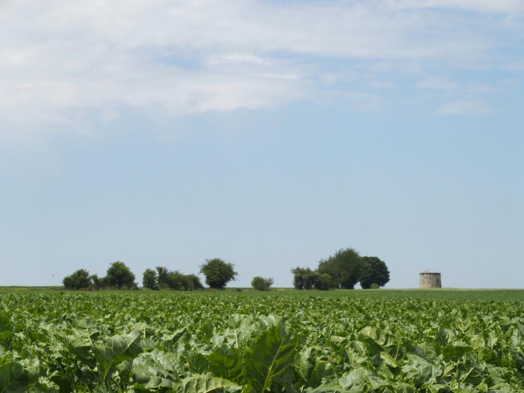 Prendre le large pour garder l'essentiel