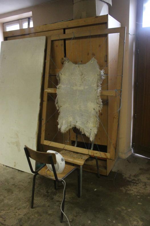 Peau de mouton tendue sur un châssis, dans le sous-sol de la mairie, afin d'être ponçée et enduite de colle de peau de lapin.