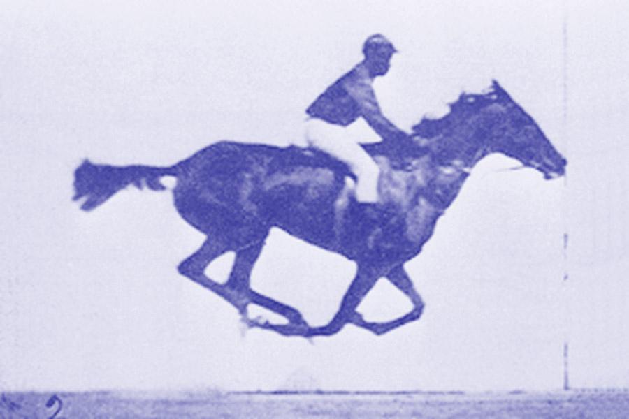 Eadweard Muybridge, le cheval en action