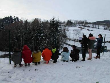 Paysages sous la neige