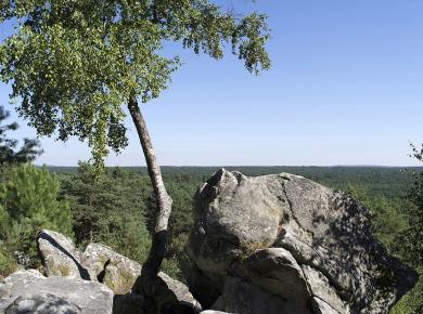 Chenxin Tang - Murmure - Au sommet, Sentier Denecourt n°10