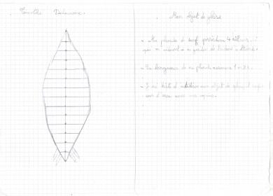 Projets des élèves